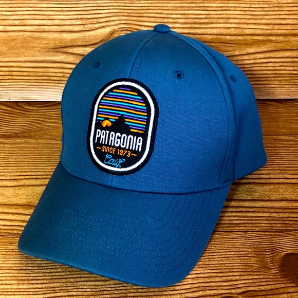 Patagonia Other - 💎Patagonia | Snap back